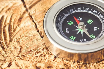 Beruf oder Studium: Test kann bei Orientierung helfen